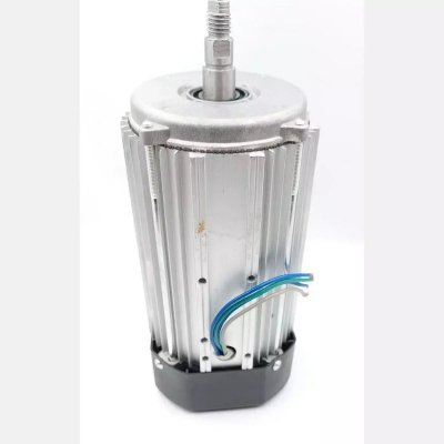 Silnik elektryczny 800W