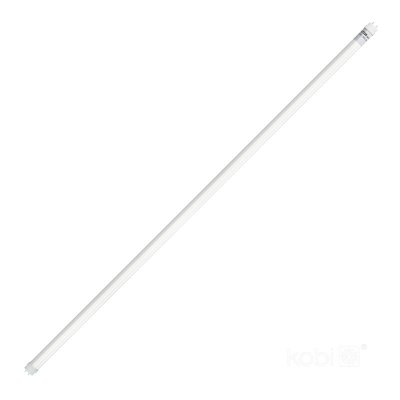 Świetlówka LED T8 18W 120CM 6500K LED2B