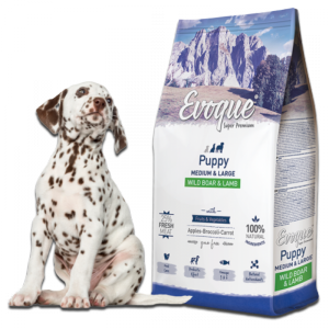 Evoque Puppy Dziczyzna z jagnięciną M&L Super Premium 2kg