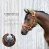 Ogłowie Anatomiczne STUBBEN Freedom II Magic Tack z funkcją Slide&Lock - COGNAC