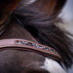 Sklep jeździecki, sprzęt jeździecki, szeroki wybór, przystępne ceny. Bryczesy, kaski, sztyblety, czapraki, derki, ogłowia, suplementy i witaminy dla koni, żywienie specjalistyczne koni, pielęgnacja koni. Ujeżdżenie, skoki, zawody konne, rekreacja, jeździectwo naturalne