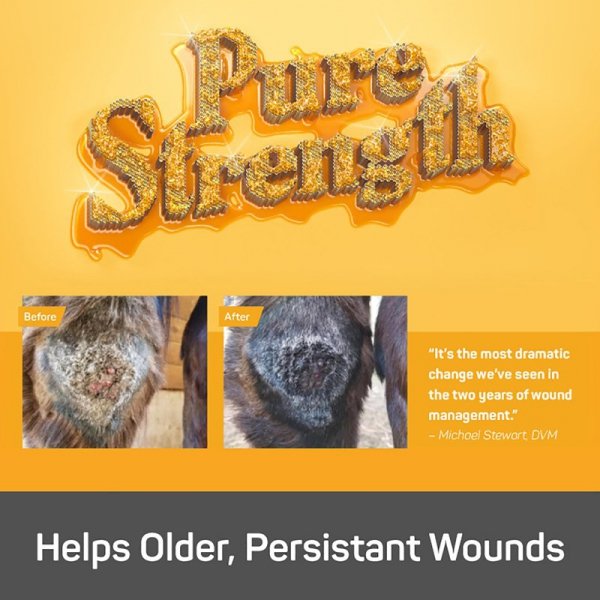 Silver Honey® Rapid Wound Repair Ointment – Maść na rany dla koni 60 ml