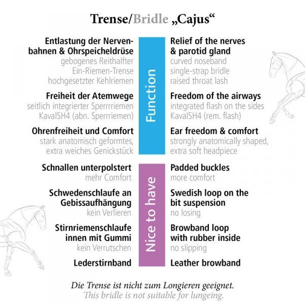 Ogłowie Anatomiczne Kavalkade CAJUS - KavalSH4 - czarne