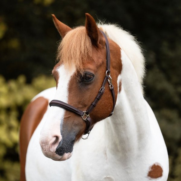 Ogłowie Rajdowe 2 w 1 Kavalkade ARTEMIS - brązowe