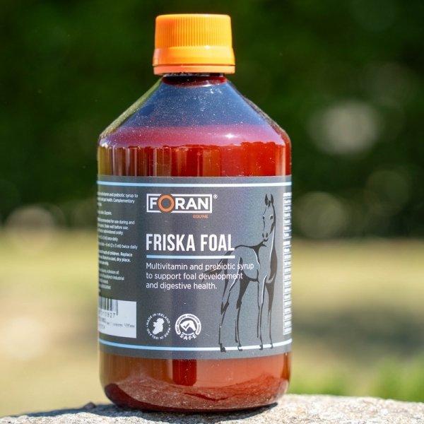 Foran Friska Foal 500 ml - Multiwitaminowy i prebiotyczny syrop wspomagający rozwój źrebiąt i zdrowie przewodu pokarmowego