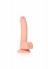 Curved Realistic Dildo  Balls  Suction Cup - 7/ 18 cm