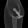 Przeźroczysty korek analny flawless clear prostate plug 6.5''