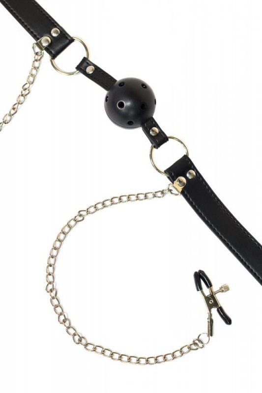 Ball gag with nipple clamps party hard gratitude