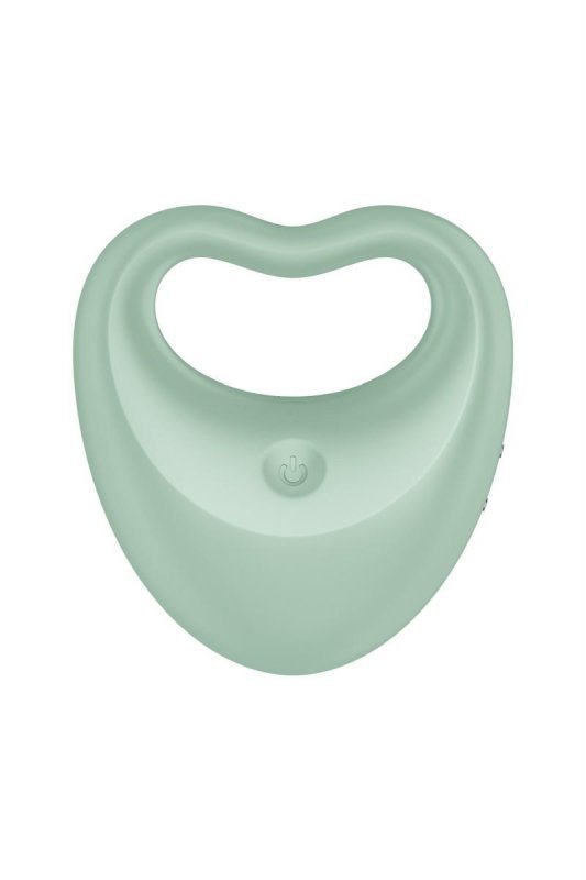 Pierścień erekcyjny wibrujący Satisfyer Perfect Pair 3 