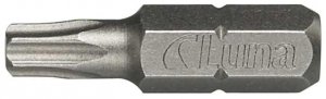 Groty Torx TX20 2 szt.