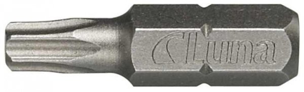 Groty Torx T30 (50 szt.)