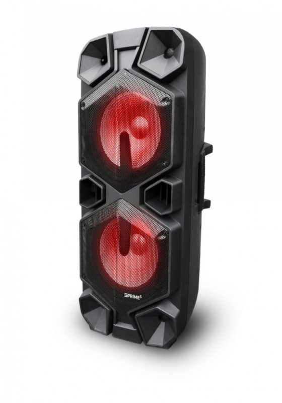 Głośnik APA24 system audio Bluetooth Karaoke
