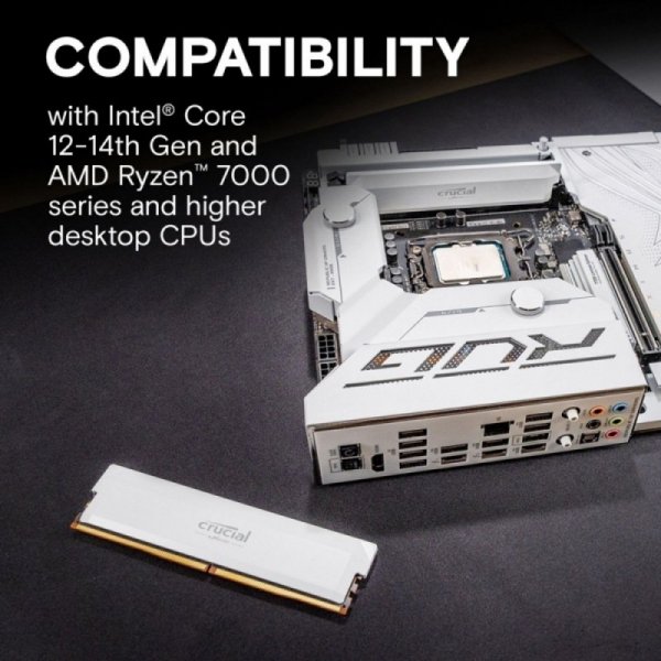 Pamięć DDR5 Pro OC 16/6400(1*16GB) CL38 biała