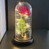 Róża w szkle- świecąca Malatec 21619