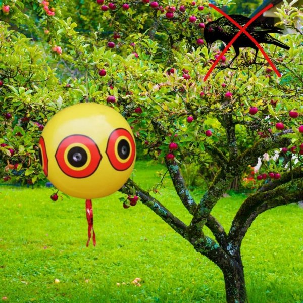tds0653_Balon do odstraszania ptaków