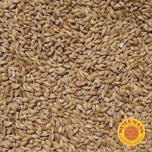 Słód pilzneński 3-5 EBC Weyermann® 1kg 