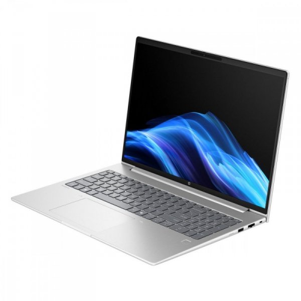 HP Inc. Notebook ProBook 4 G1a R7-250 512GB/24GB/W11P/16.0 C51HSET