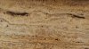 Płytki z trawertynu Gold Vein Cut