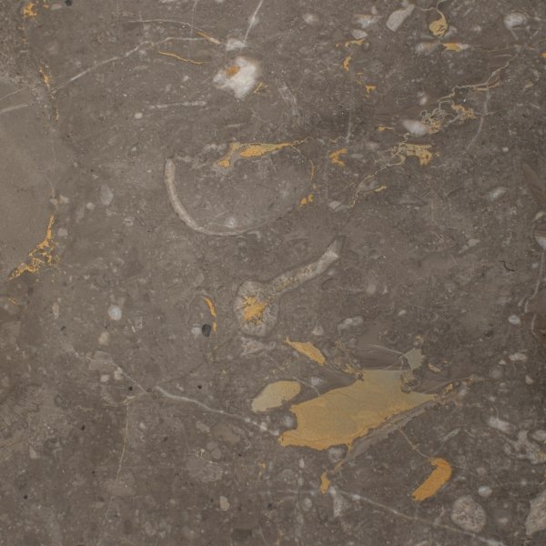 Marmur Anthracite Gold