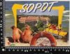 SOPOT. FOT. TOMASZ DEGÓRSKI