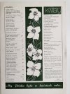 KWIATY NR 3/1976