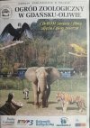 CD. OGRÓD ZOOLOGICZNY W GDAŃSKU-OLIWIE
