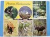 PUSZCZA BIAŁOWIESKA. ORLIK POSPOLITY FOT. CZERWIŃSKI I INNI