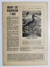 HODOWCA GOŁĘBI POCZTOWYCH NR 8 1969