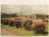 LENINGRAD RHE FIELD OF MARS