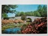 THE BOTANICAL GARDENS. NORFOLK, VIRGINIA