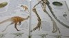PATRZĘ PODZIWIAM POZNAJĘ DINOZAURY - Norman 1994