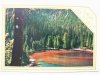 LAGO DI TOVEL. LAGO ROSSO DI TOVEL m. 1182 (TUENNO)