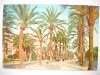 PALMA. PASEO DE SAGRERA Y LONJA