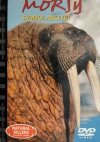 DVD. NATURAL KILLERS TOM 36. MORSY SYMBOL ARKTYKI