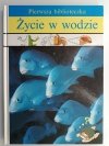 ŻYCIE W WODZIE