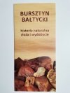 BURSZTYN BAŁTYCKI. HISTORIA NATURALNA ZŁOŻA I WYDOBYWANIE 2010