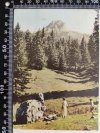 TATRY ZACHODNIE. SFINKS W DOLINIE STRĄŻYSKIEJ