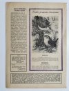 HODOWCA GOŁĘBI POCZTOWYCH NR 11  1970