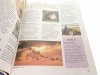 ENCYKLOPEDIA TEMATYCZNA. NAUKA 2008