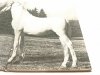 KOŃ I JEŹDZIEC - Stanisław Schuch 1967