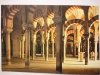 CORDOBA. BOSQUE DE COLUMNAS