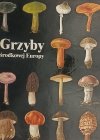 GRZYBY ŚRODKOWEJ EUROPY - M. Svrcek