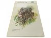 PODHAJCE 1698 - Janusz Wojtasik 1990