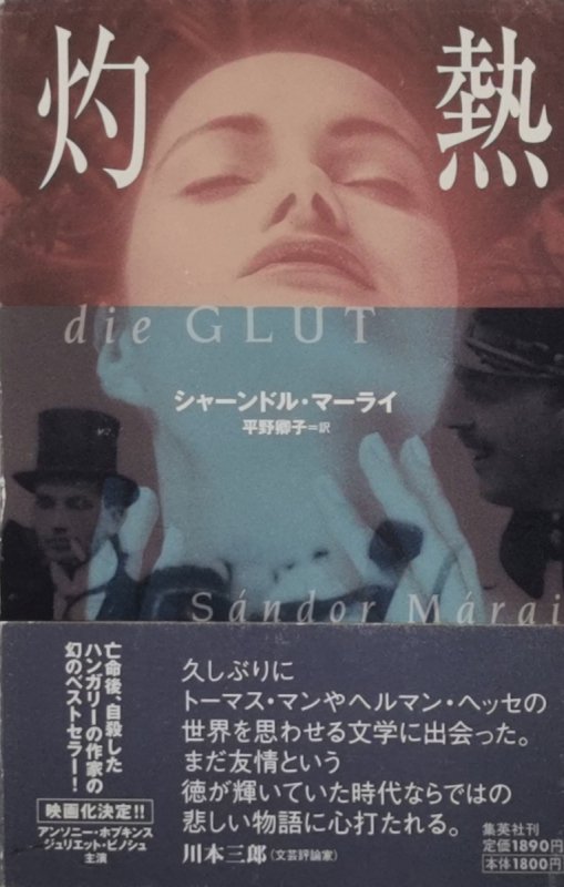 ŻAR - Sándor Márai. W języku japońskim.