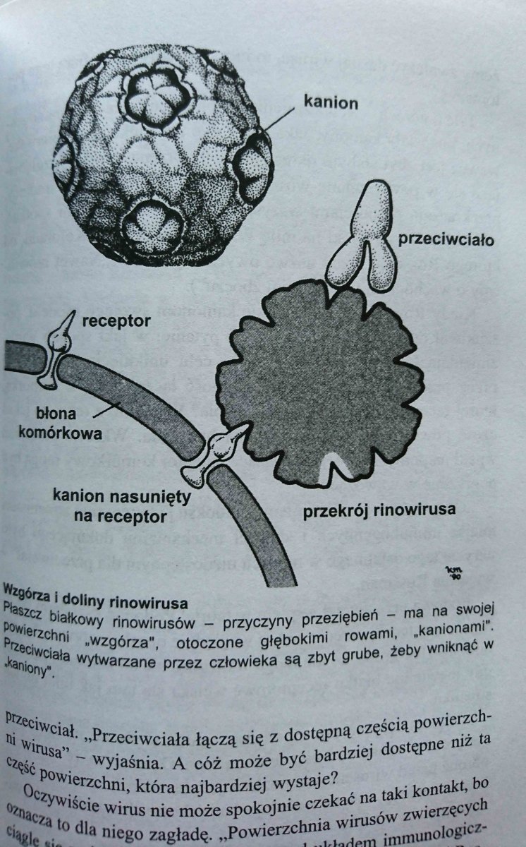 NIEWIDZIALNI NAJEŹDŹCY - Peter Radetsky 1998