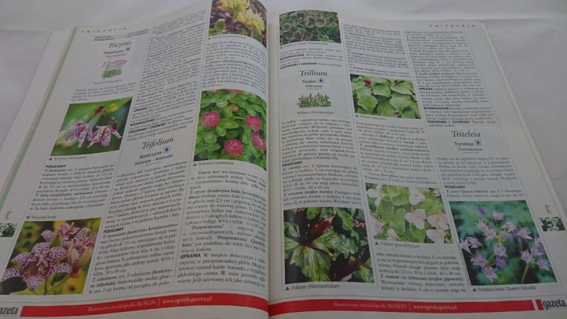 ILUSTROWANA ENCYKLOPEDIA ROŚLIN CZĘŚĆ 8/8 S-Z 2008
