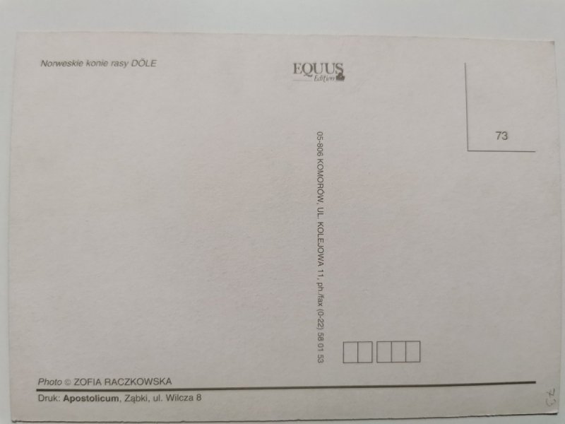 NORWESKIE KONIE RASY DÓLE FOT. RACZKOWSKA