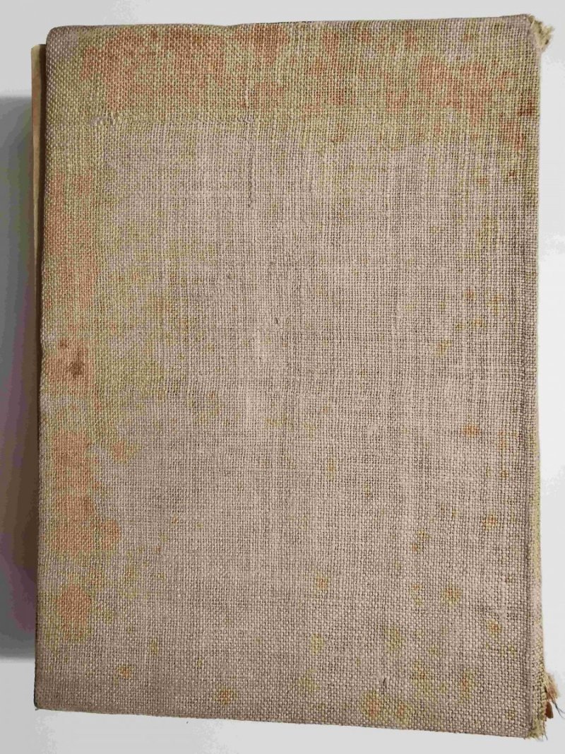 HISTORYA LITERATURY POLSKIEJ TOM I - Piotr Chmielowski 