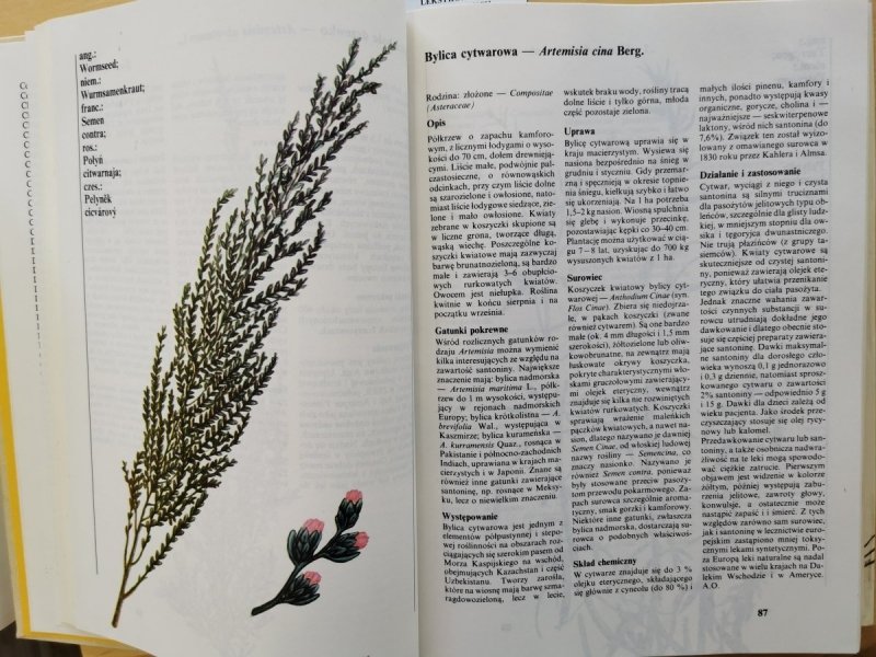 Leksykon roślin leczniczych - red. Rumińska. Ożarowski 1990