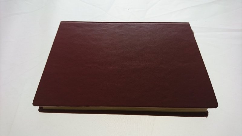 HISTORIA LITERATURY POLSKIEJ DLA KLASY IX - Budzyk